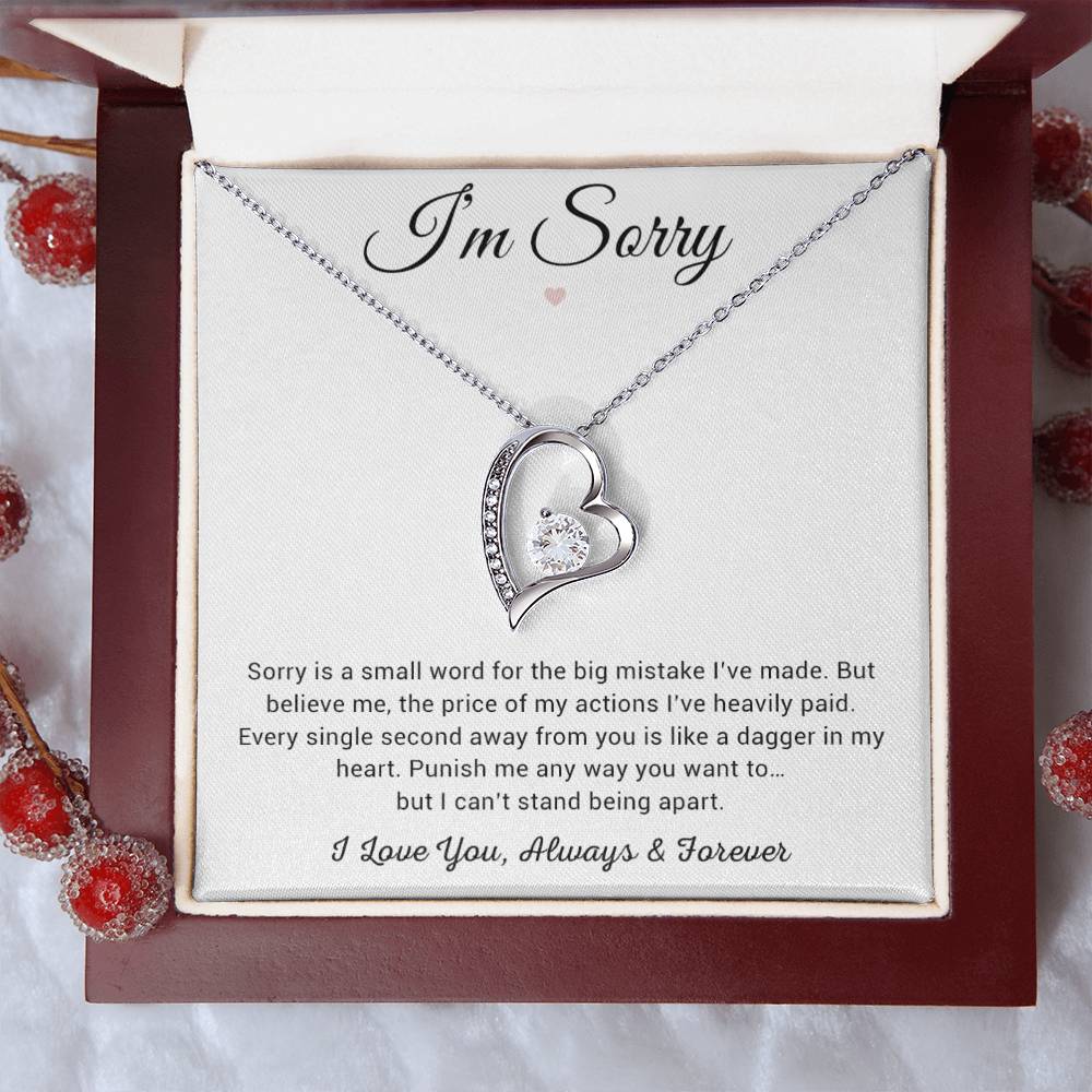 I'm Sorry Necklace Gifts, Apology Gifts For Her, Forgiveness Gift, Wife Gift 8_12
