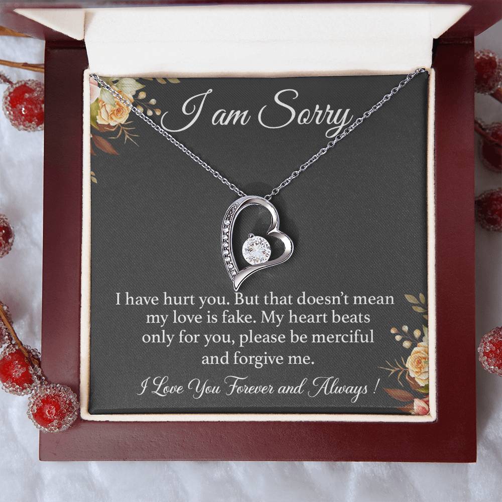 I'm Sorry Necklace Gift for Her, Apology Card for Girlfriend, Forgiveness Gift
