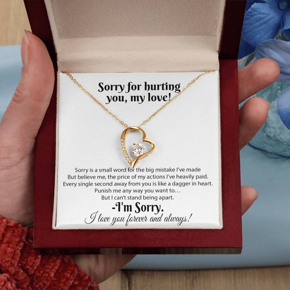 I'm Sorry Necklace Gifts, Apology Gifts For Her, Forgiveness Gift, Wife Gift 18_8
