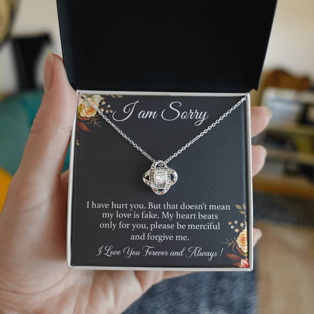 I'm Sorry Necklace Gift for Her, Apology Card for Girlfriend, Forgiveness Gift