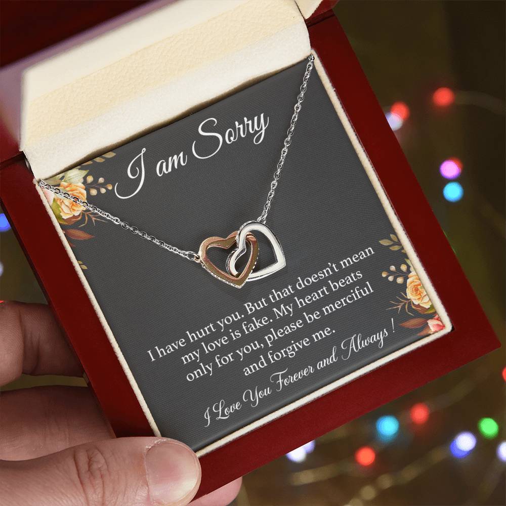 I'm Sorry Necklace Gift for Her, Apology Card for Girlfriend, Forgiveness Gift