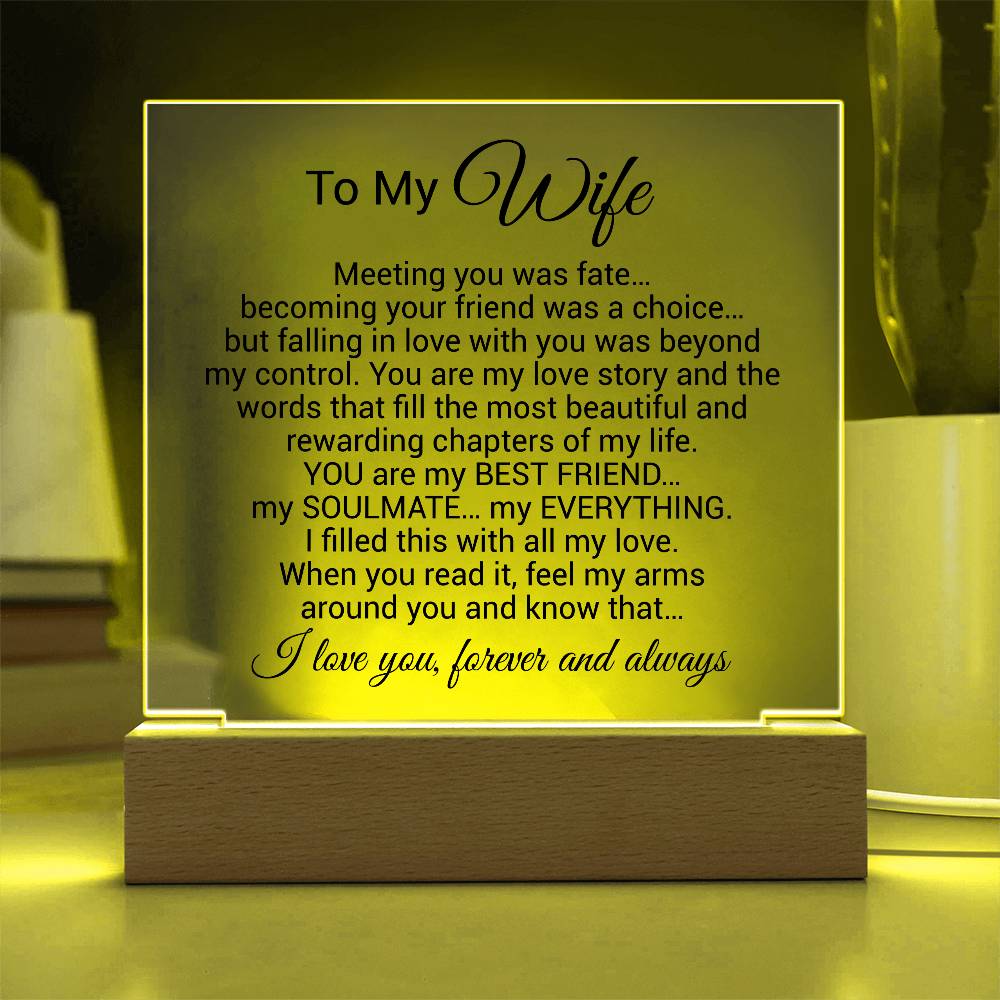 To My Wife Acrylic Plaque, Wife Birthday Gift, Wife on Anniversary, Christmas Gift 9_4