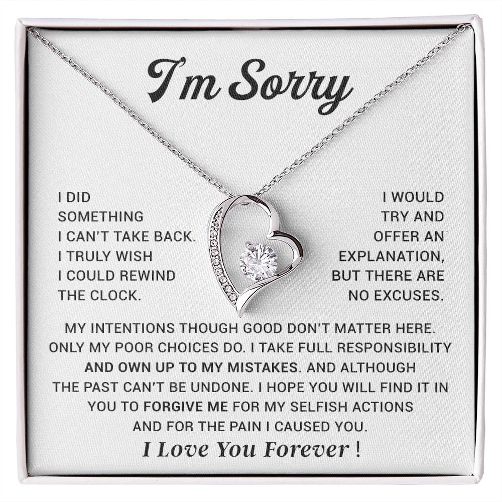 I'm Sorry Gift For Wife Necklace, Sorry Gift for Girlfriend, Forgiveness Gift For Her 29_10