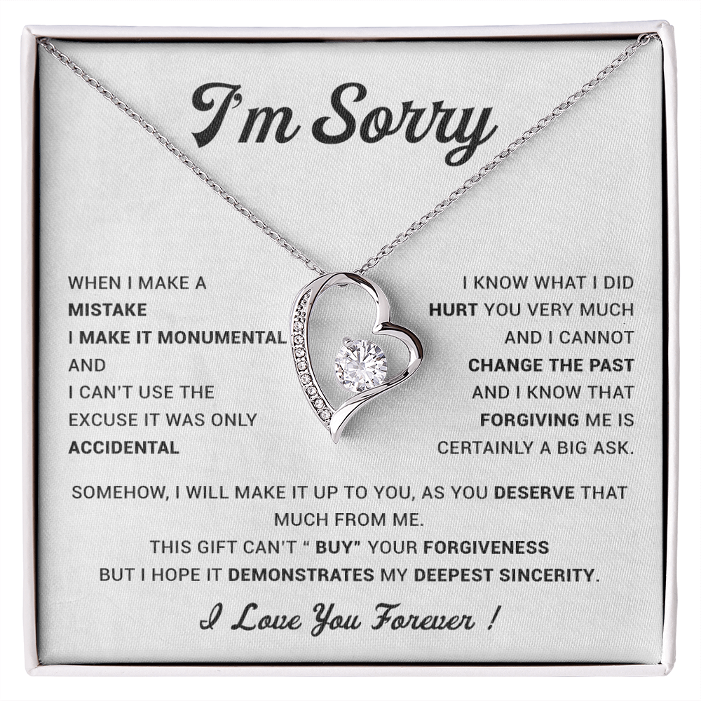 I'm Sorry Gift For Wife Necklace, Sorry Gift for Girlfriend, Forgiveness Gift For Her 23_5