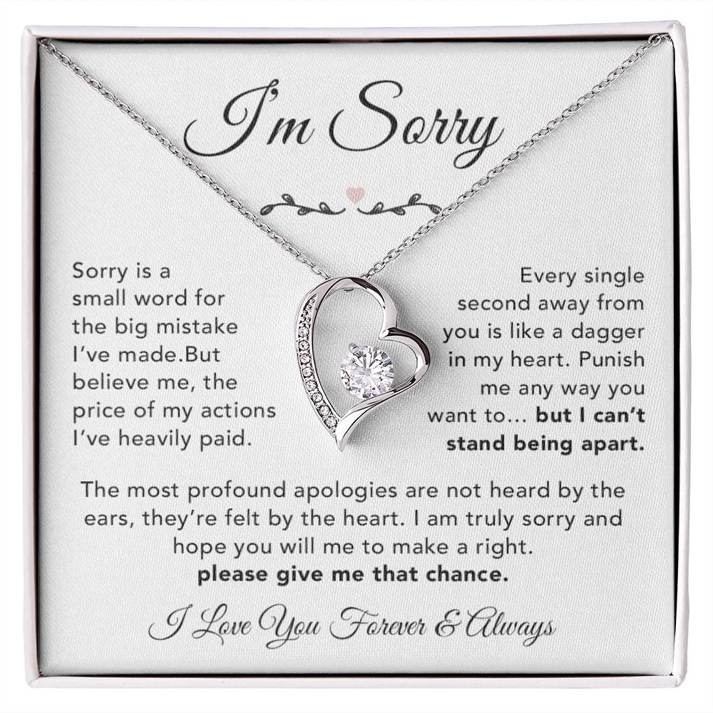 I'm Sorry Necklace Gifts, Apology Gifts For Her, Forgiveness Gift, Wife Gift 6_12