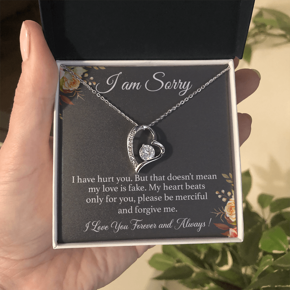 I'm Sorry Necklace Gift for Her, Apology Card for Girlfriend, Forgiveness Gift