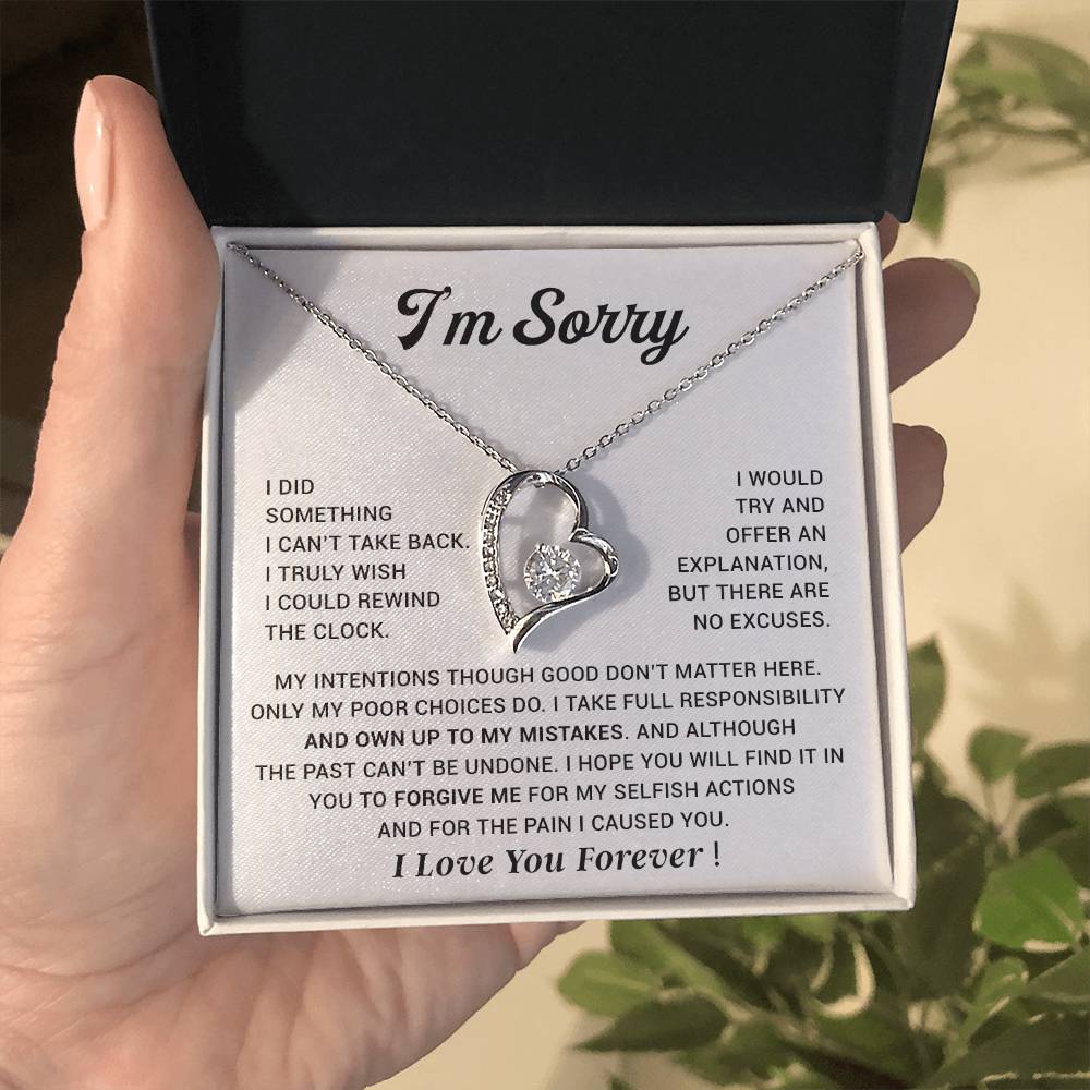 I'm Sorry Gift For Wife Necklace, Sorry Gift for Girlfriend, Forgiveness Gift For Her 29_10
