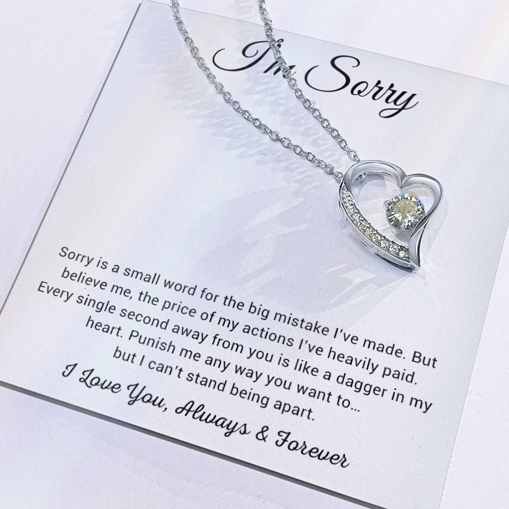 I'm Sorry Necklace Gifts, Apology Gifts For Her, Forgiveness Gift, Wife Gift 8_12