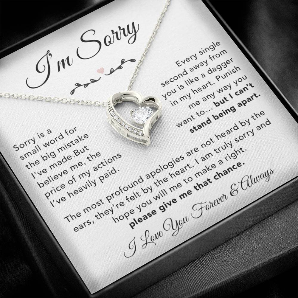 I'm Sorry Necklace Gifts, Apology Gifts For Her, Forgiveness Gift, Wife Gift 6_12