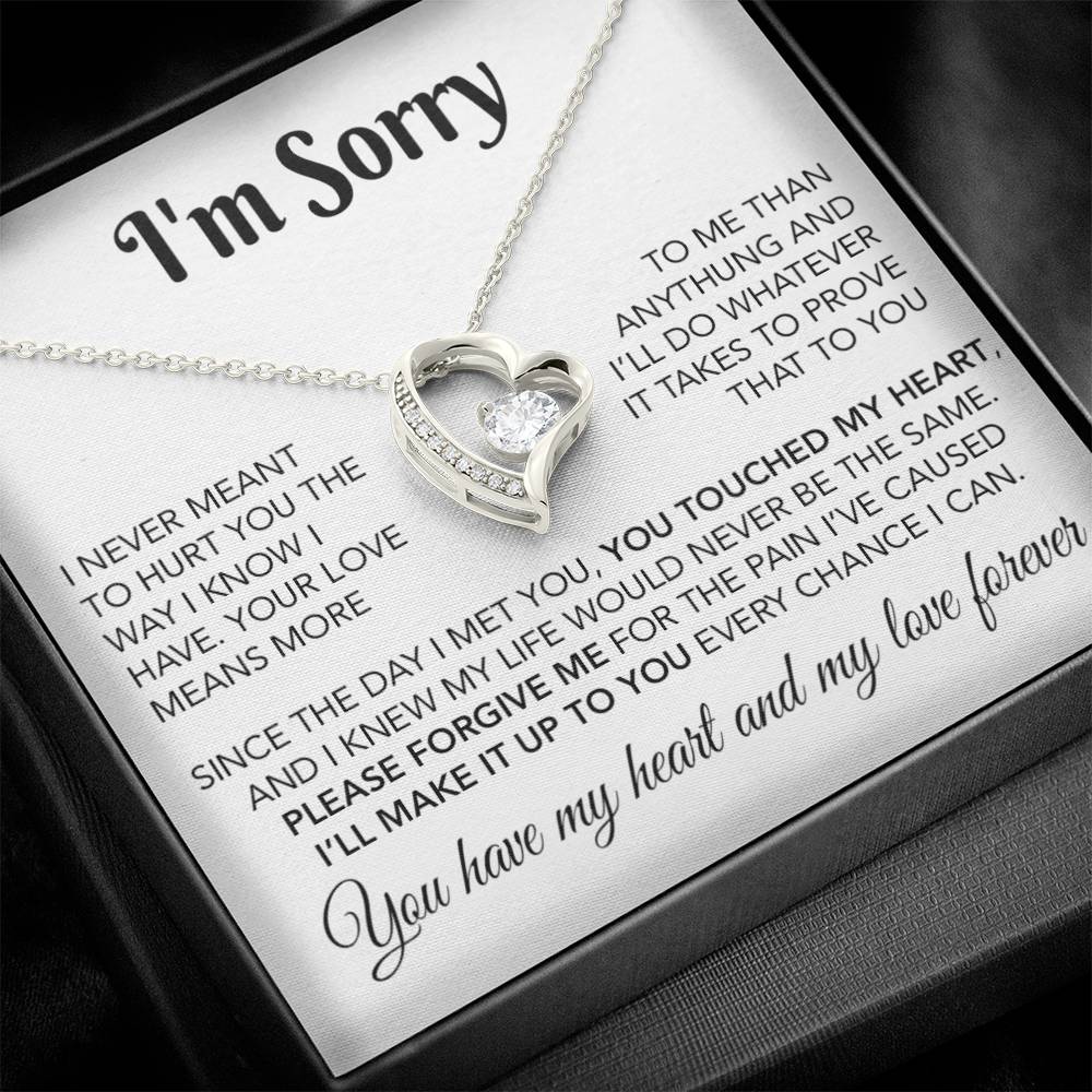 I'm Sorry Necklace Gifts, Apology Gifts For Her, Forgiveness Gift, Wife Gift 28_10