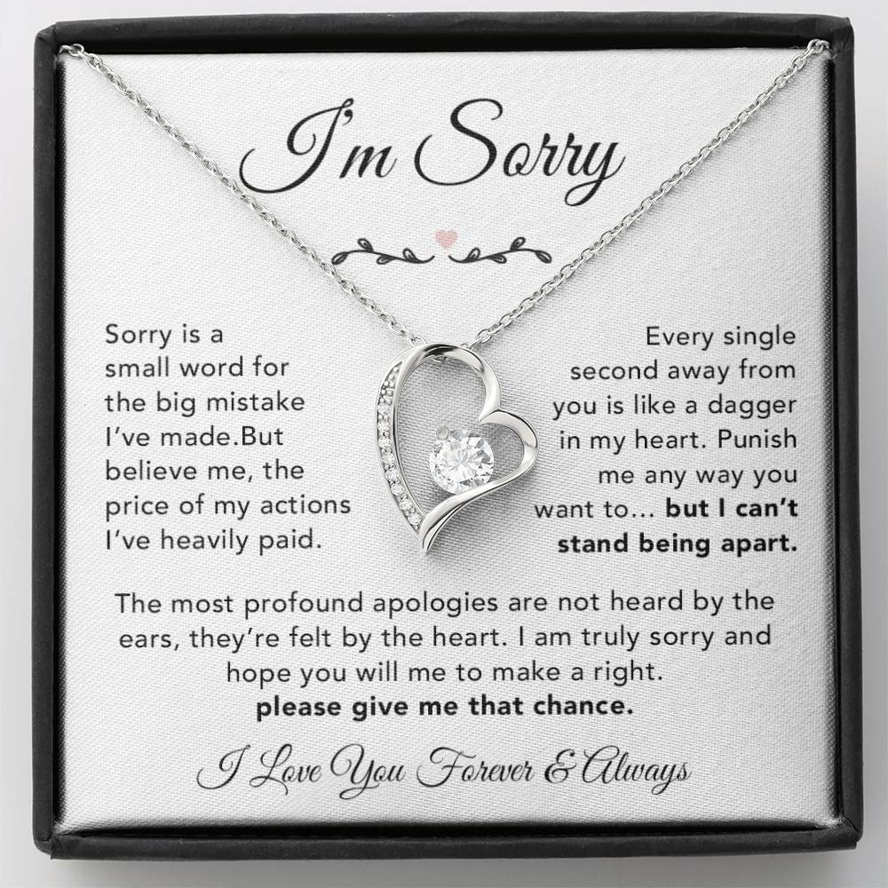I'm Sorry Necklace Gifts, Apology Gifts For Her, Forgiveness Gift, Wife Gift 6_12