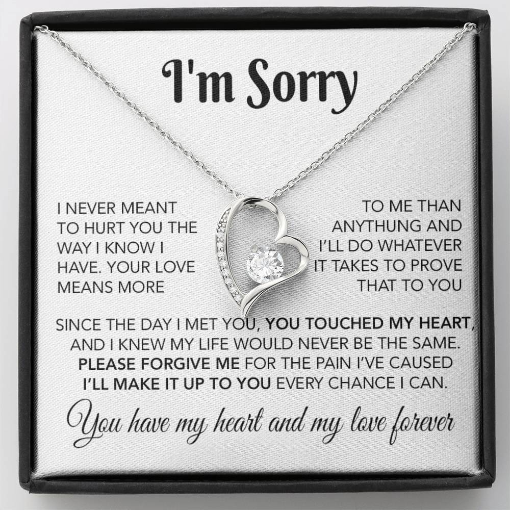 I'm Sorry Necklace Gifts, Apology Gifts For Her, Forgiveness Gift, Wife Gift 28_10