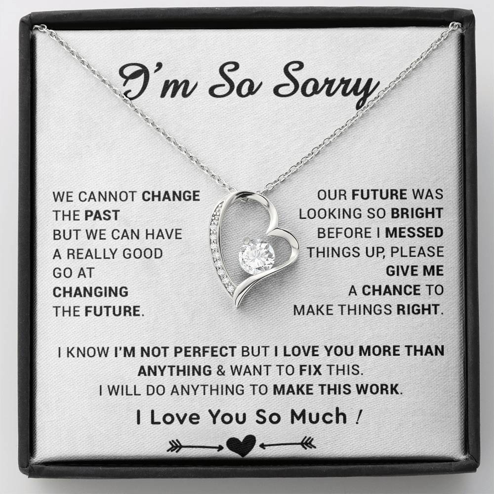I'm Sorry Gift For Wife Necklace, Sorry Gift for Girlfriend, Forgiveness Gift For Her 22_5