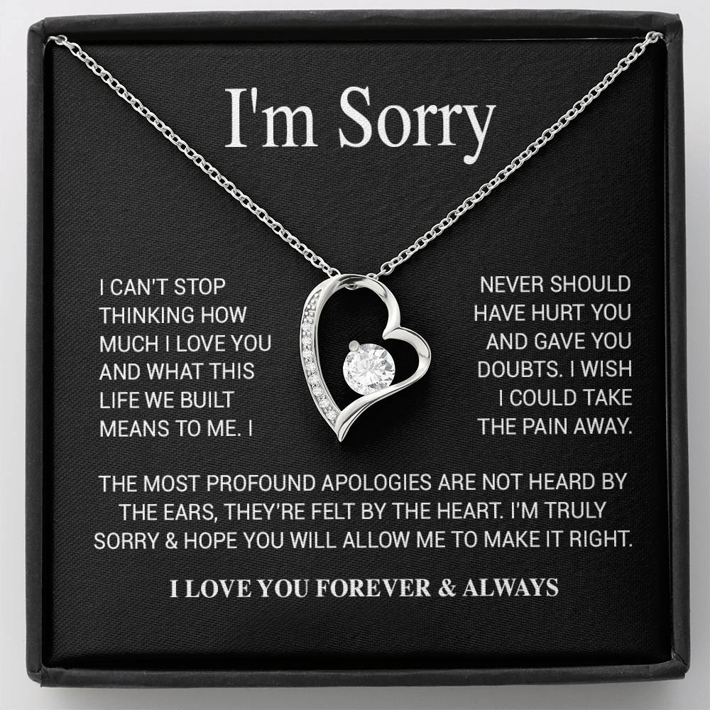 I'm Sorry Necklace Gifts, Apology Gifts For Her, Forgiveness Gift, Wife Gift 28_11