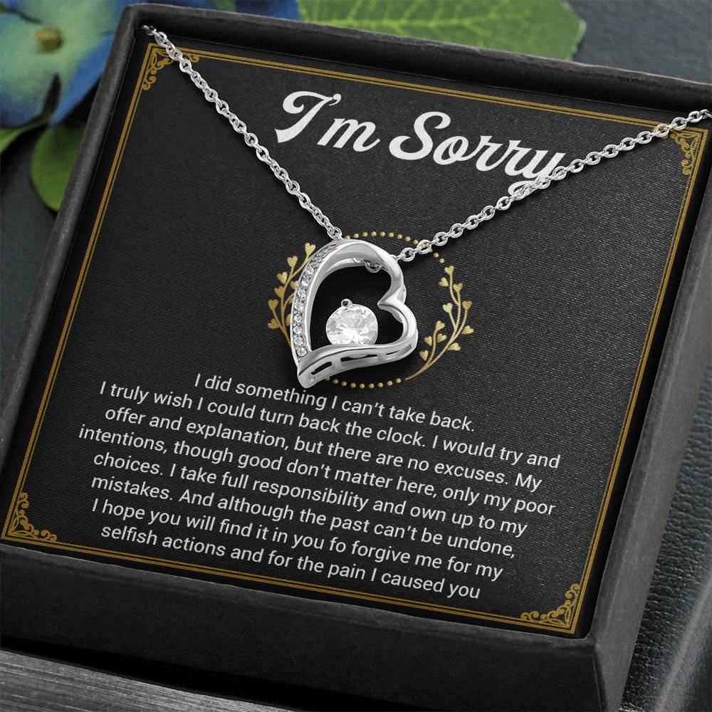 I'm Sorry Necklace Gifts, Apology Gifts For Her, Forgiveness Gift, Wife Gift 1_11