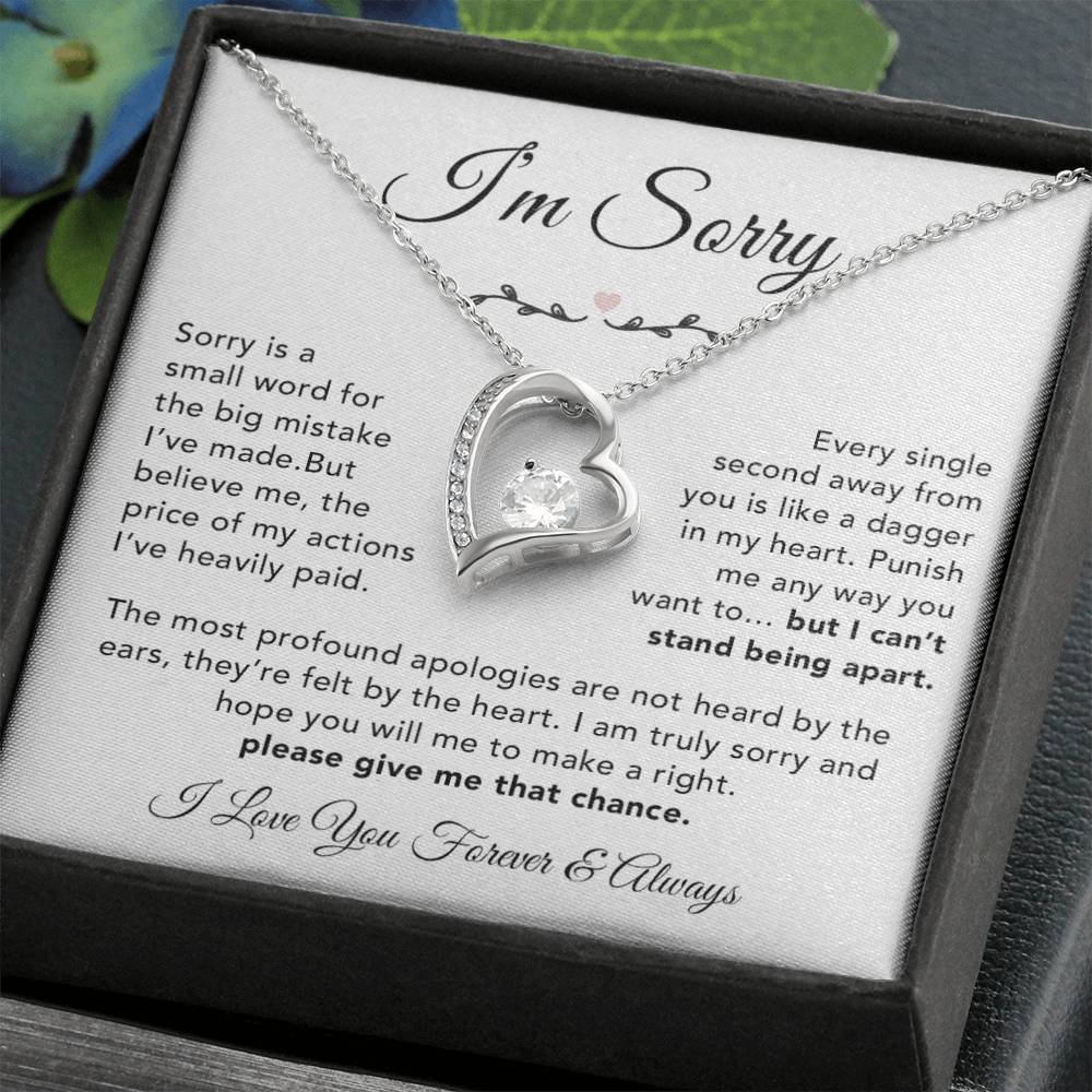 I'm Sorry Necklace Gifts, Apology Gifts For Her, Forgiveness Gift, Wife Gift 6_12