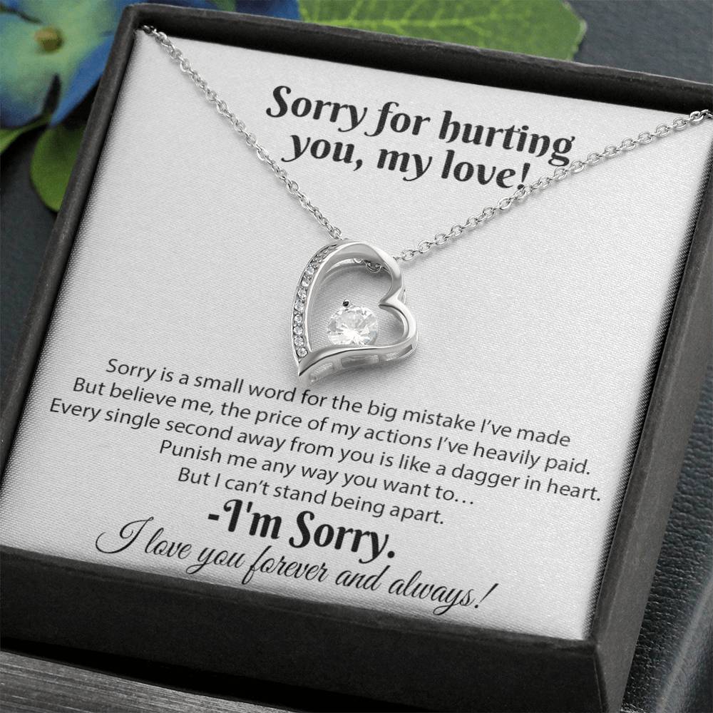 I'm Sorry Necklace Gifts, Apology Gifts For Her, Forgiveness Gift, Wife Gift 18_8