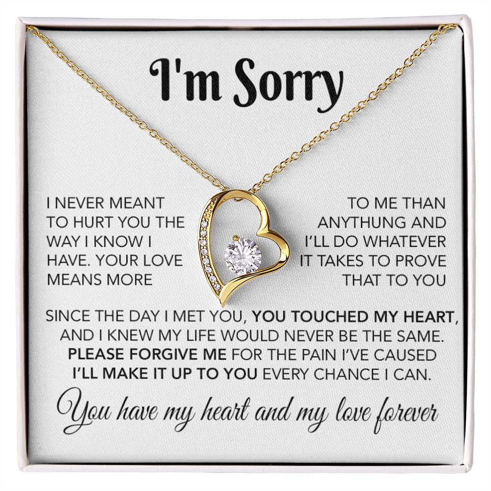 I'm Sorry Necklace Gifts, Apology Gifts For Her, Forgiveness Gift, Wife Gift 28_10