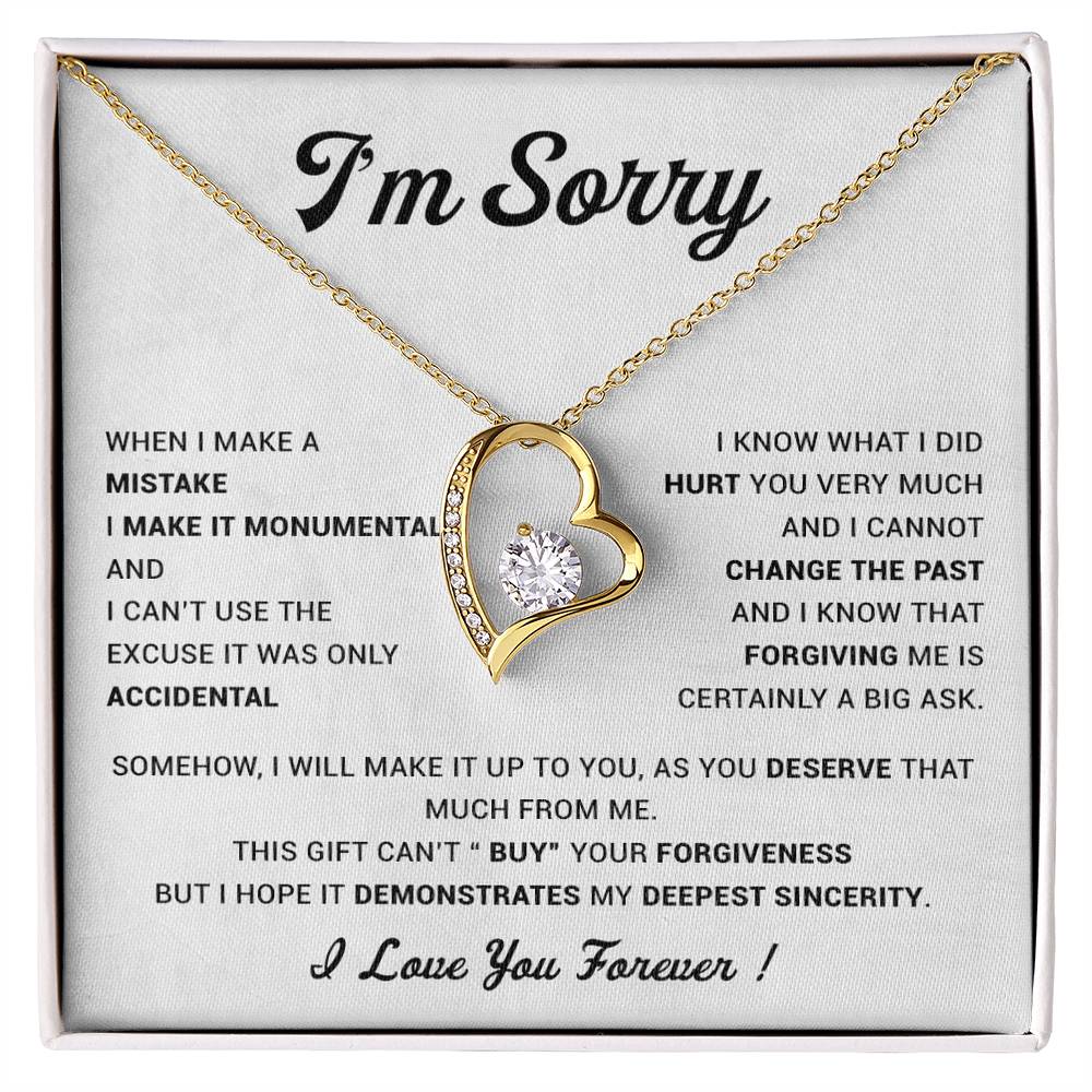 I'm Sorry Gift For Wife Necklace, Sorry Gift for Girlfriend, Forgiveness Gift For Her 23_5