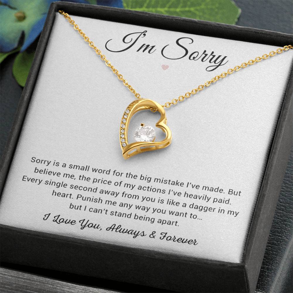 I'm Sorry Necklace Gifts, Apology Gifts For Her, Forgiveness Gift, Wife Gift 8_12