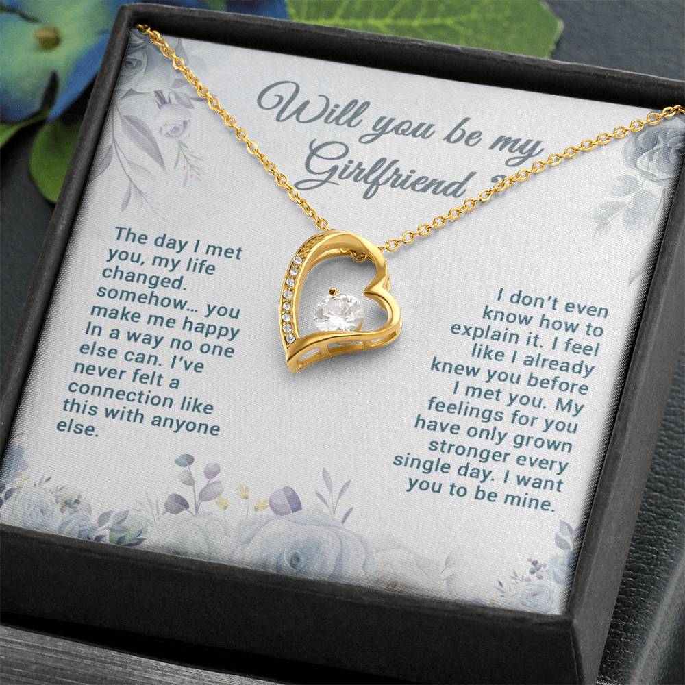 Be My Girlfriend Proposal, Will You Be My Girlfriend Gift, Future Girlfriend Necklace, Girlfriend Proposal Gift 29_7