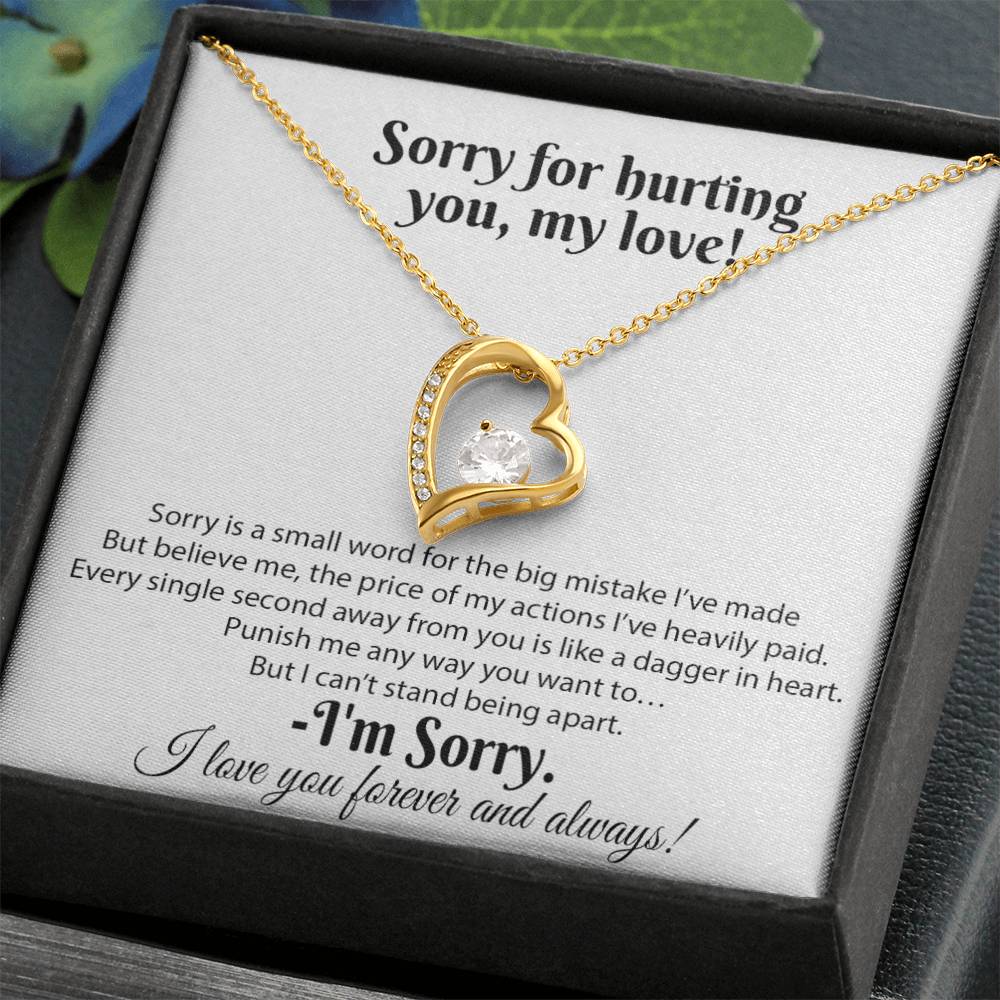 I'm Sorry Necklace Gifts, Apology Gifts For Her, Forgiveness Gift, Wife Gift 18_8