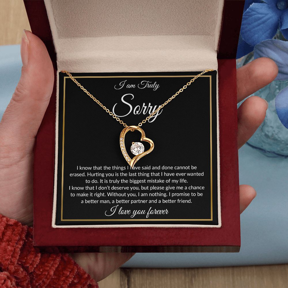 I'm Sorry Necklace Gifts, Apology Gifts For Her, Forgiveness Gift
