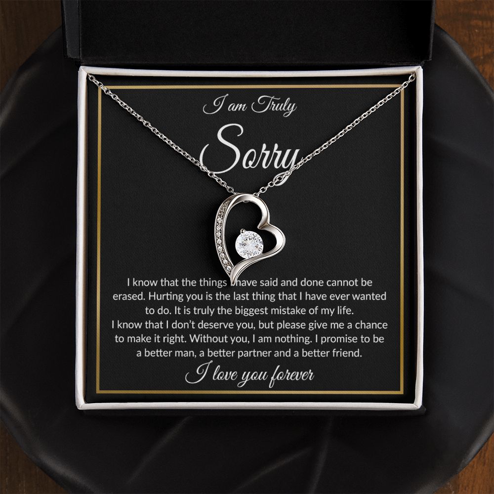 I'm Sorry Necklace Gifts, Apology Gifts For Her, Forgiveness Gift