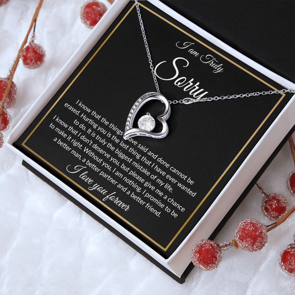 I'm Sorry Necklace Gifts, Apology Gifts For Her, Forgiveness Gift