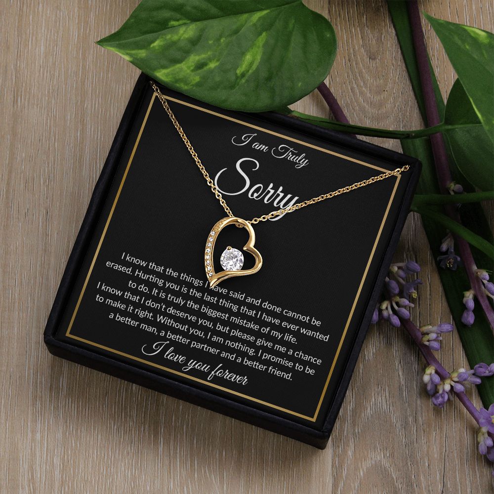 I'm Sorry Necklace Gifts, Apology Gifts For Her, Forgiveness Gift