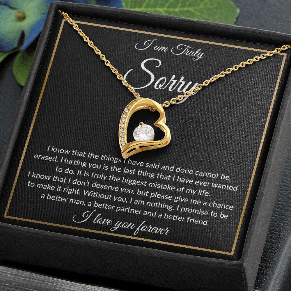 I'm Sorry Necklace Gifts, Apology Gifts For Her, Forgiveness Gift