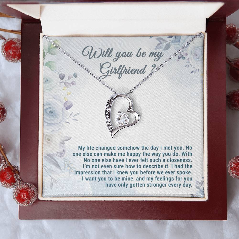 Be My Girlfriend Proposal, Will You Be My Girlfriend Gift, Future Girlfriend Necklace, Girlfriend Proposal Gift 28_7