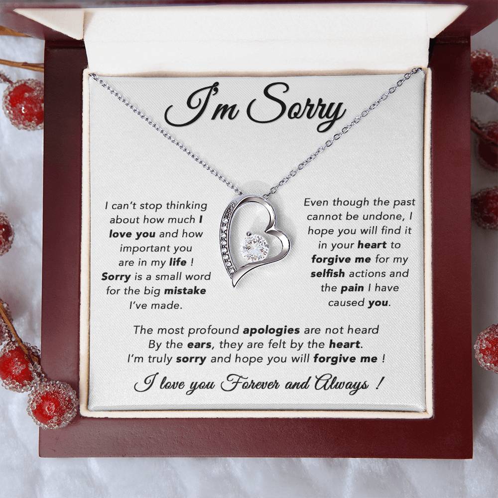 I'm Sorry Necklace, Apology Gift For Wife, Girlfriend, Forgiveness Jewelry 6_5