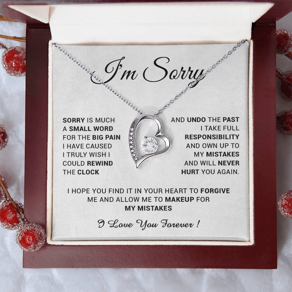 I'm Sorry Gift For Wife Necklace, Sorry Gift for Girlfriend, Forgiveness Gift For Her 24_5