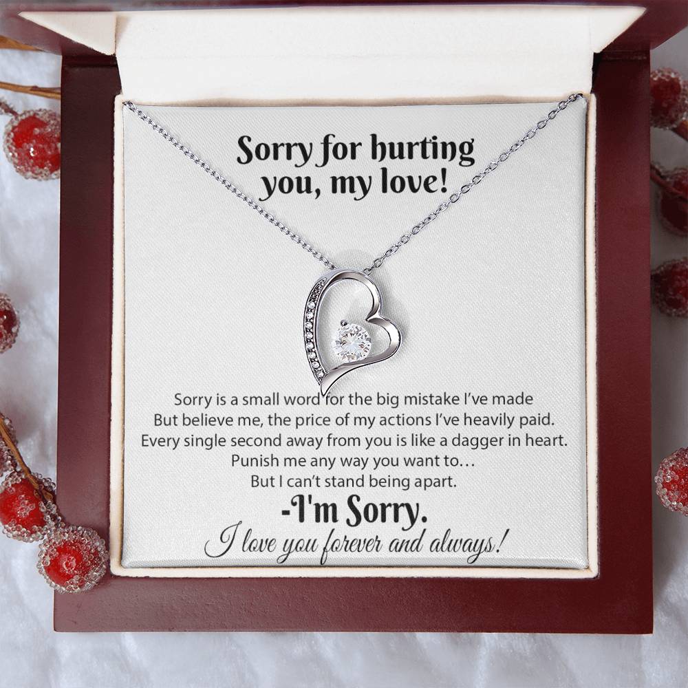 I'm Sorry Necklace Gifts, Apology Gifts For Her, Forgiveness Gift, Wife Gift 18_8