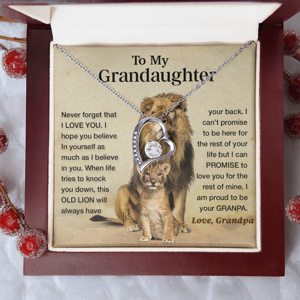 To my granddaughter lion dad