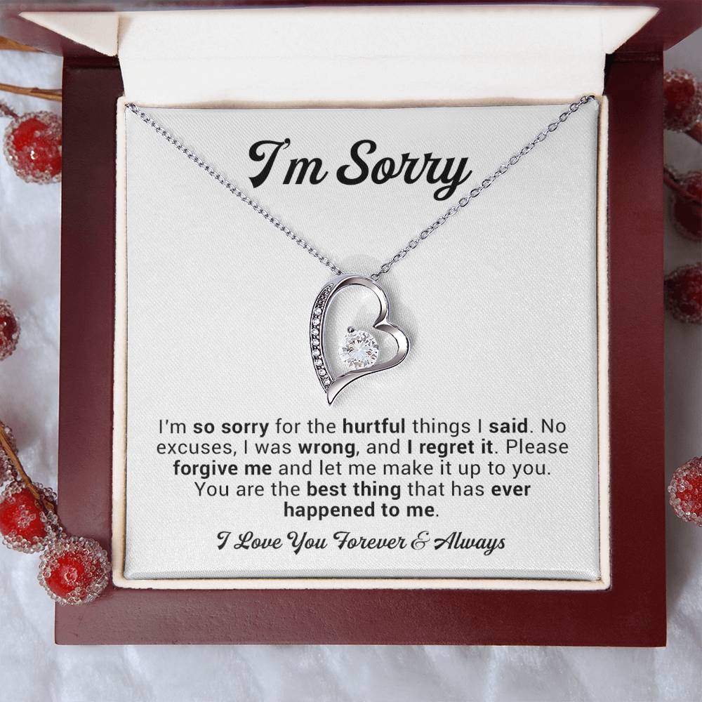 I'm Sorry Gift For Wife Necklace, Sorry Gift for Girlfriend, Forgiveness Gift For Her 2_11