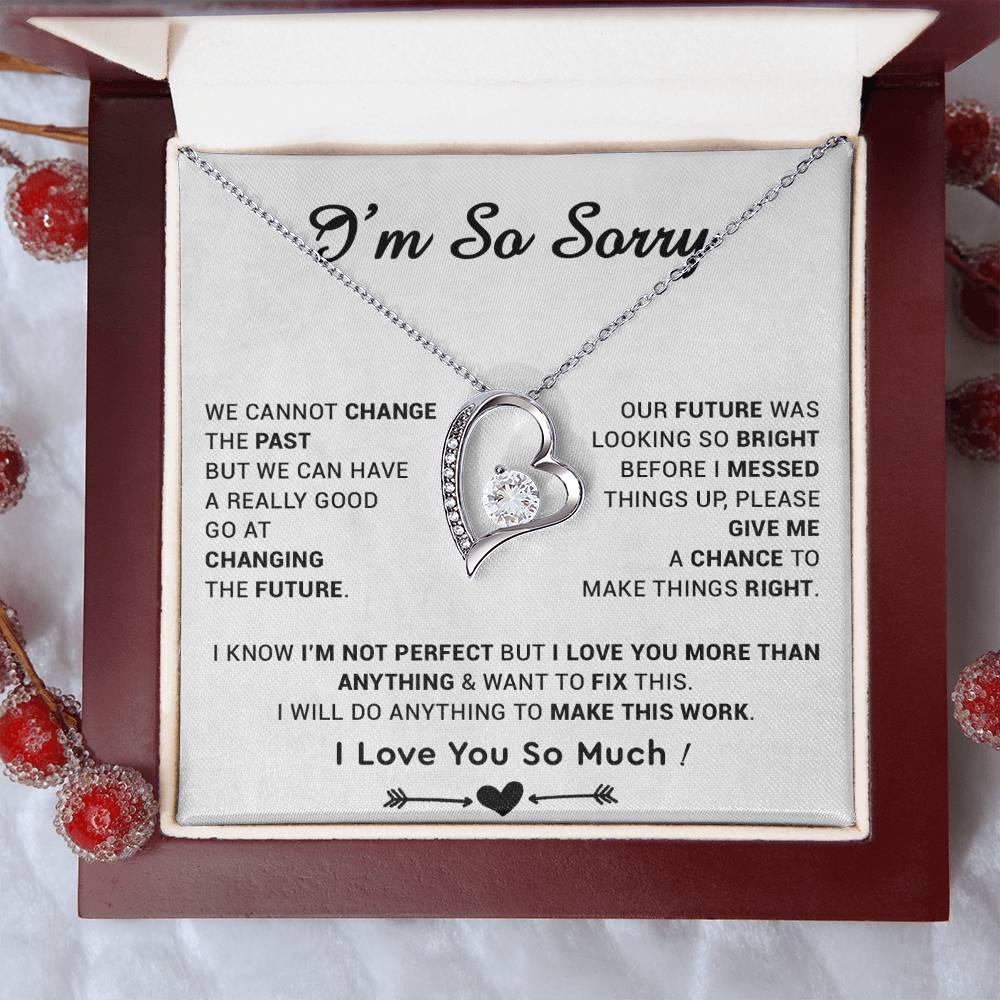 I'm Sorry Gift For Wife Necklace, Sorry Gift for Girlfriend, Forgiveness Gift For Her 22_5