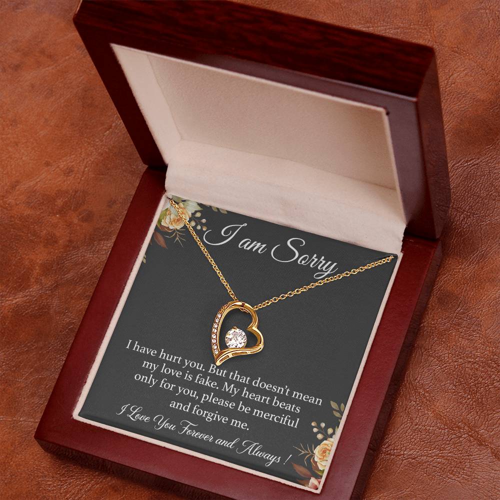I'm Sorry Necklace Gift for Her, Apology Card for Girlfriend, Forgiveness Gift