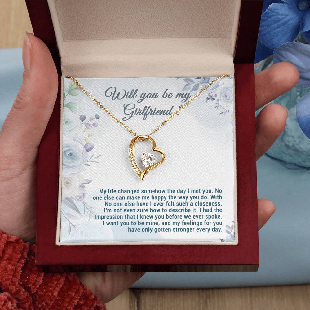 Be My Girlfriend Proposal, Will You Be My Girlfriend Gift, Future Girlfriend Necklace, Girlfriend Proposal Gift 28_7