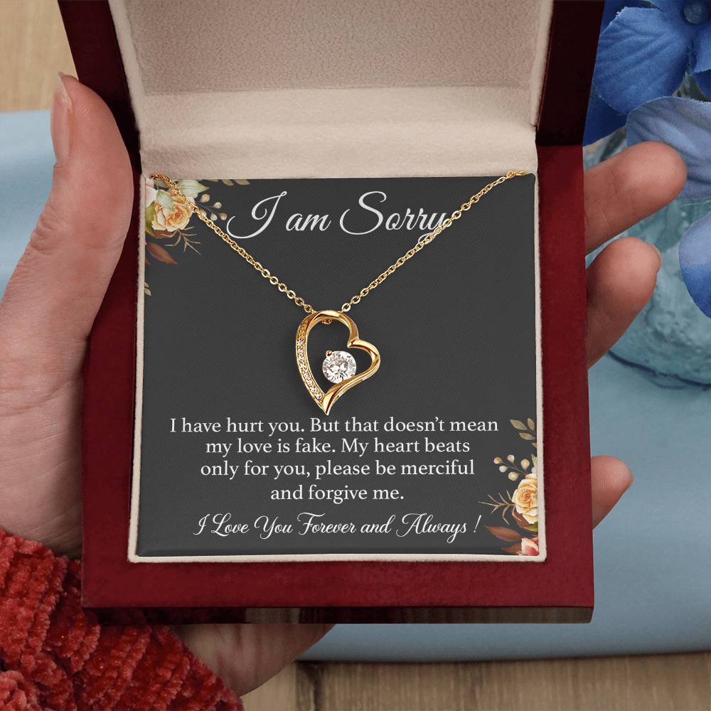 I'm Sorry Necklace Gift for Her, Apology Card for Girlfriend, Forgiveness Gift