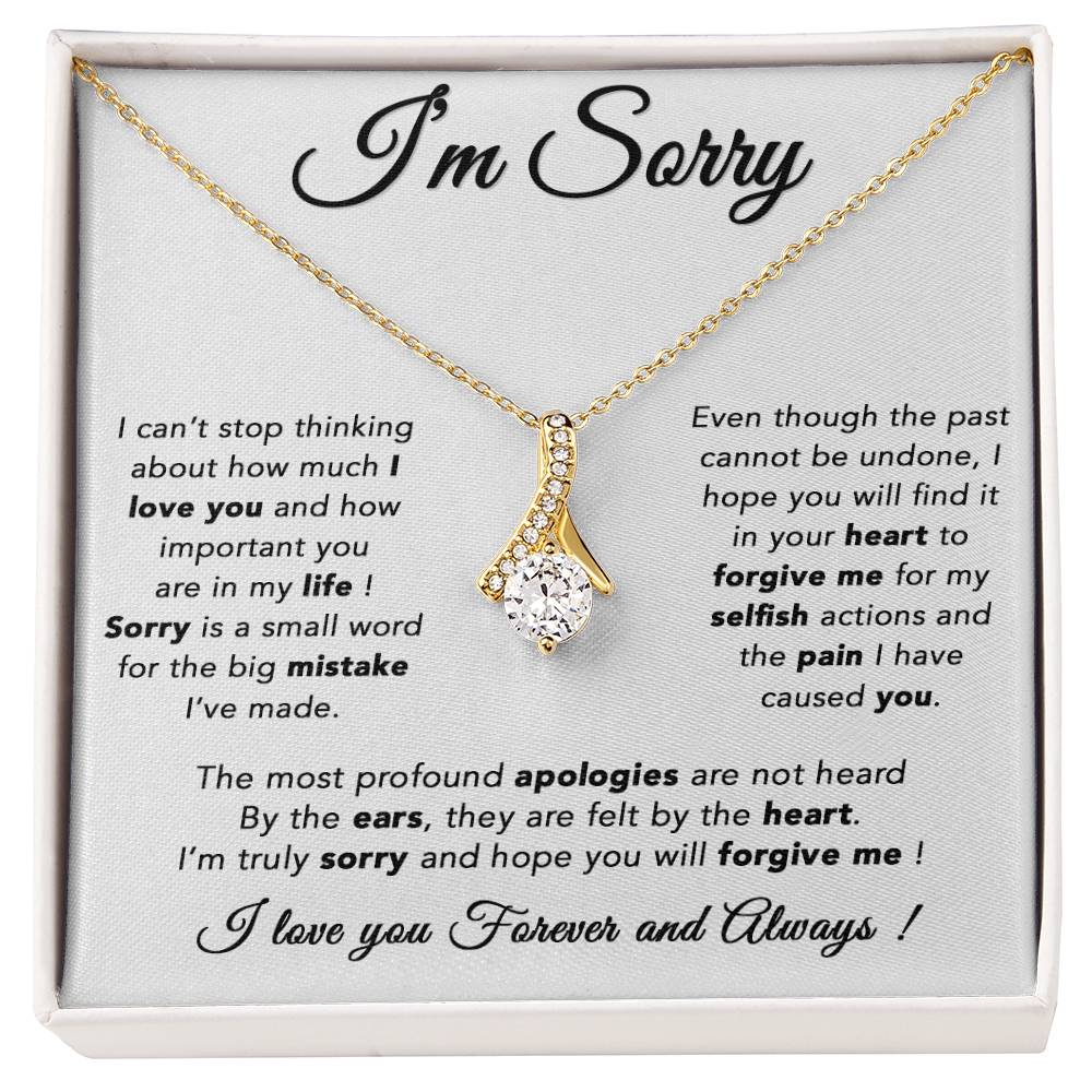 I'm Sorry Necklace, Apology Gift For Wife, Girlfriend, Forgiveness Jewelry