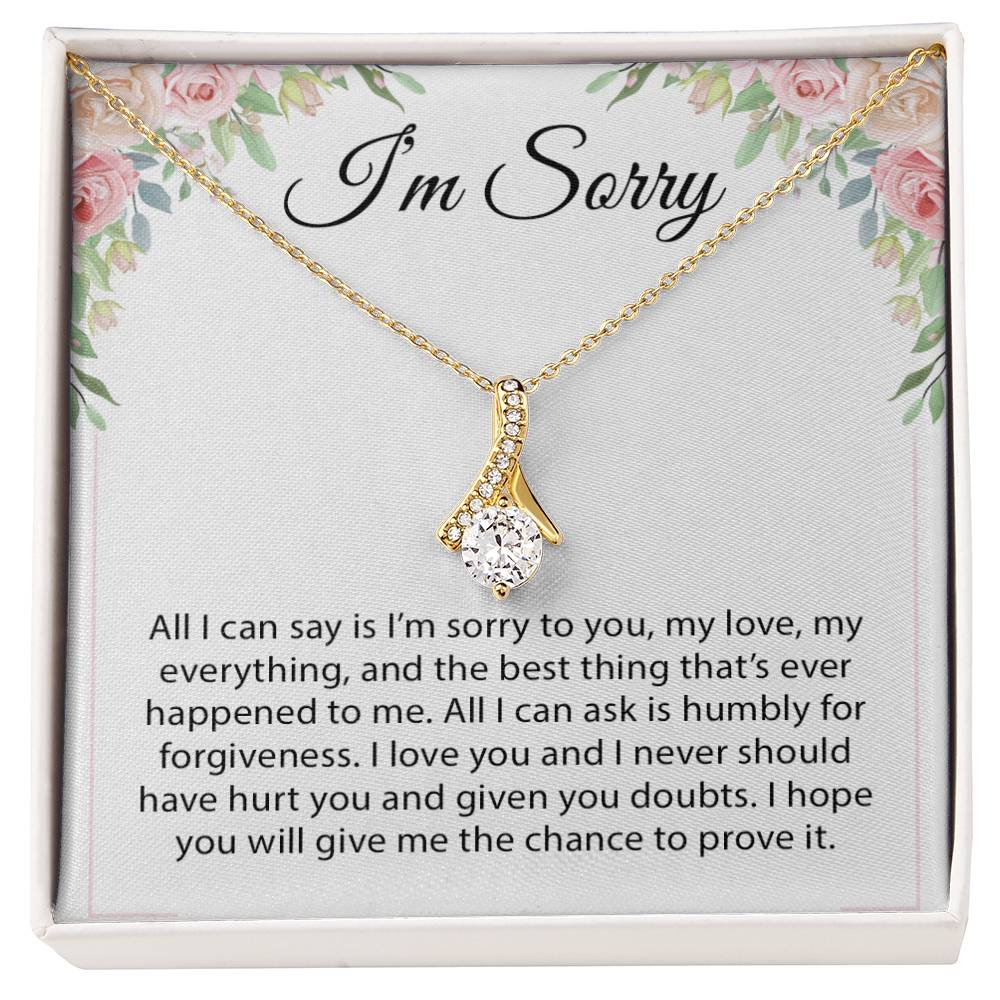 I'm Sorry Gift For Wife Necklace, Sorry Gift for Girlfriend, Forgiveness Gift