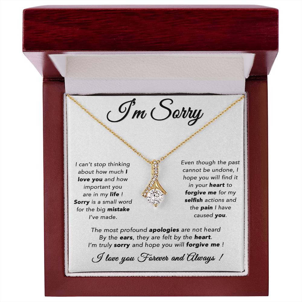 I'm Sorry Necklace, Apology Gift For Wife, Girlfriend, Forgiveness Jewelry