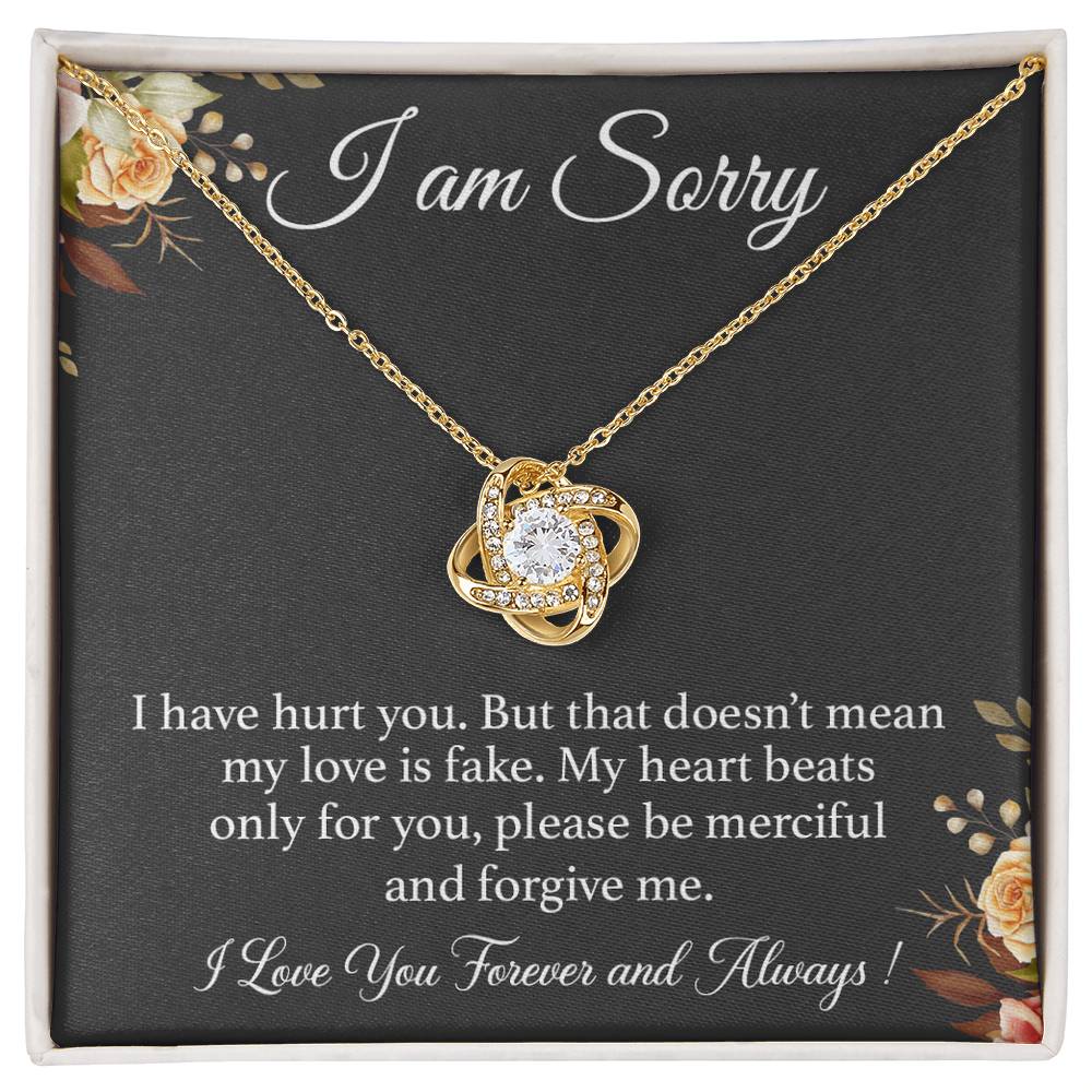 I'm Sorry Necklace Gift for Her, Apology Card for Girlfriend, Forgiveness Gift