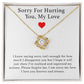 Sorry For Hurting You Necklace, Forgiveness Gift, Apology Gift for Her