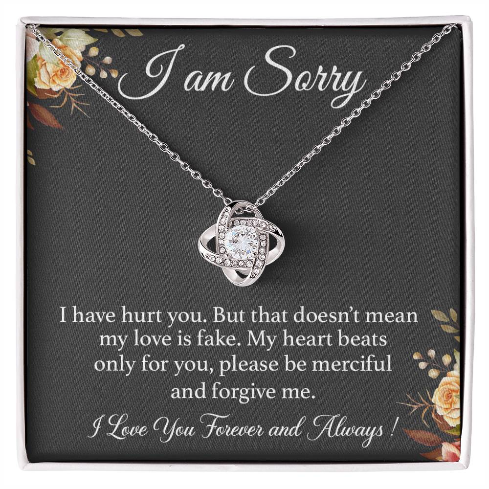 I'm Sorry Necklace Gift for Her, Apology Card for Girlfriend, Forgiveness Gift