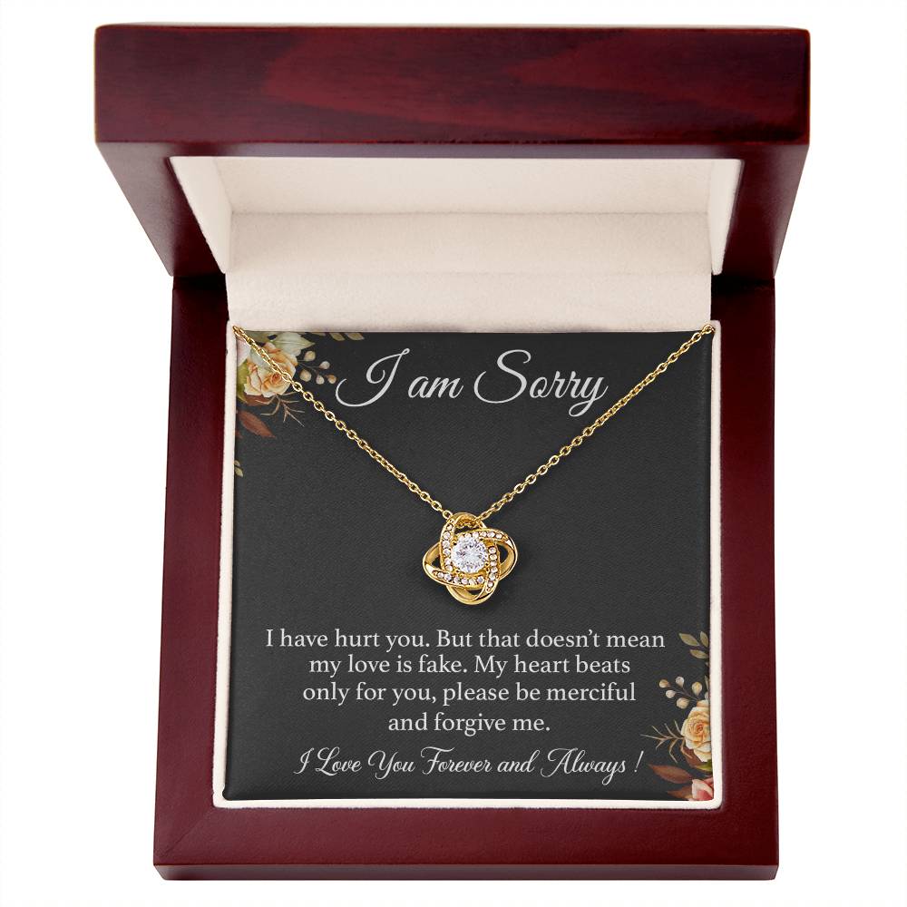 I'm Sorry Necklace Gift for Her, Apology Card for Girlfriend, Forgiveness Gift