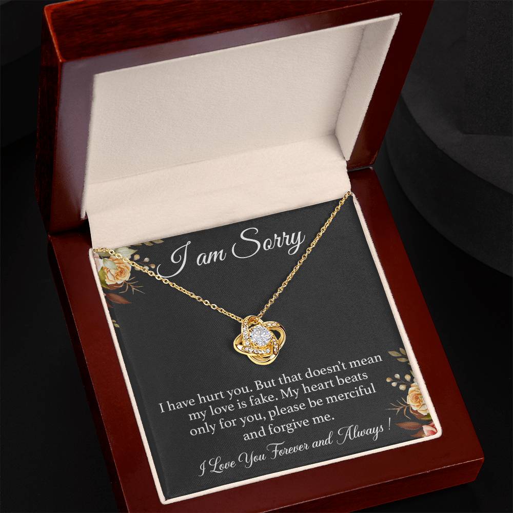 I'm Sorry Necklace Gift for Her, Apology Card for Girlfriend, Forgiveness Gift