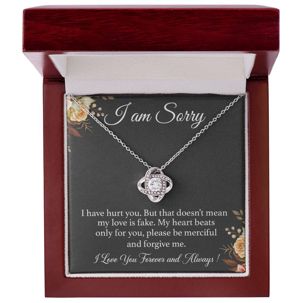 I'm Sorry Necklace Gift for Her, Apology Card for Girlfriend, Forgiveness Gift